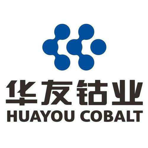浙江華友鈷業股份有限公司